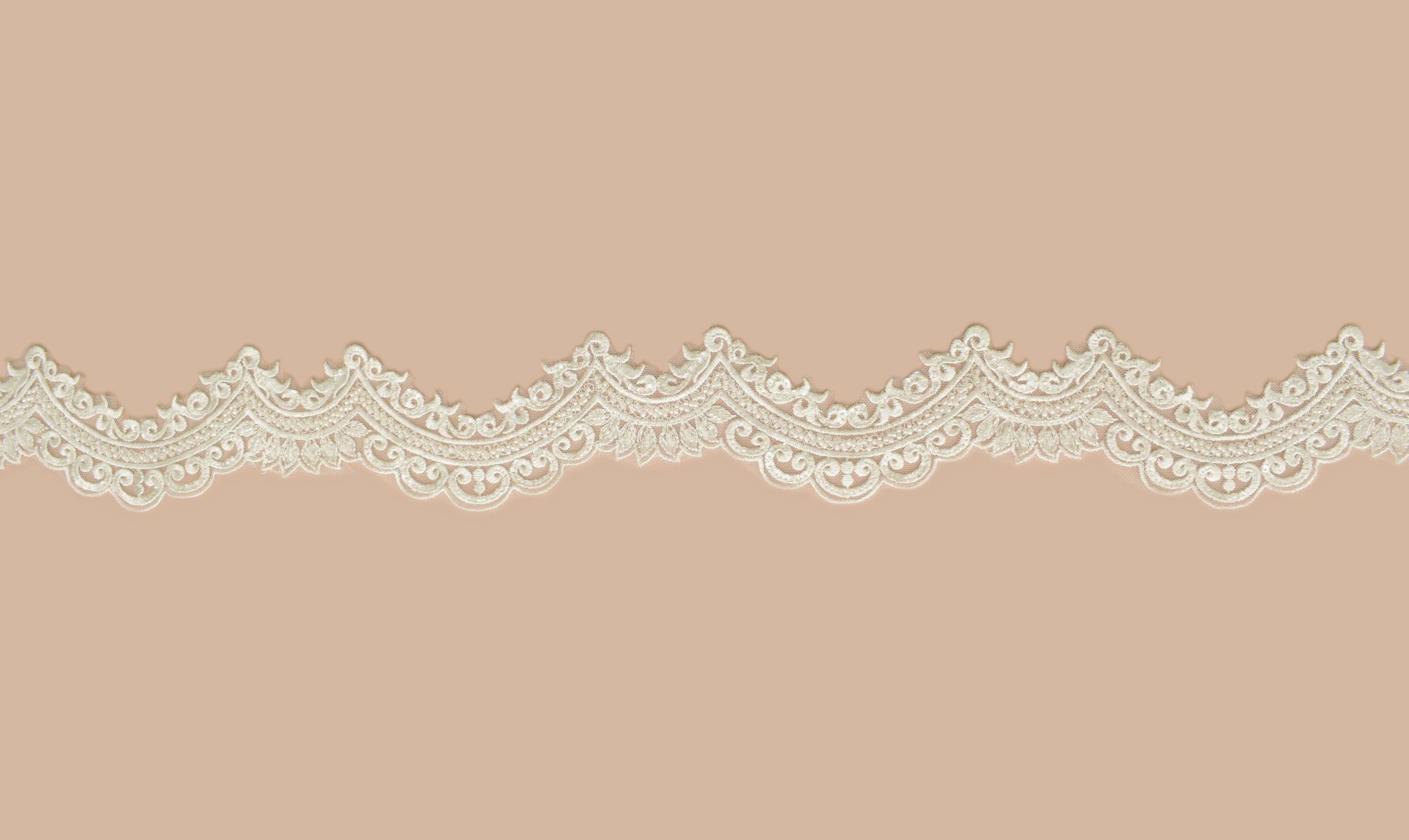 Lace &laquo;40646&raquo;