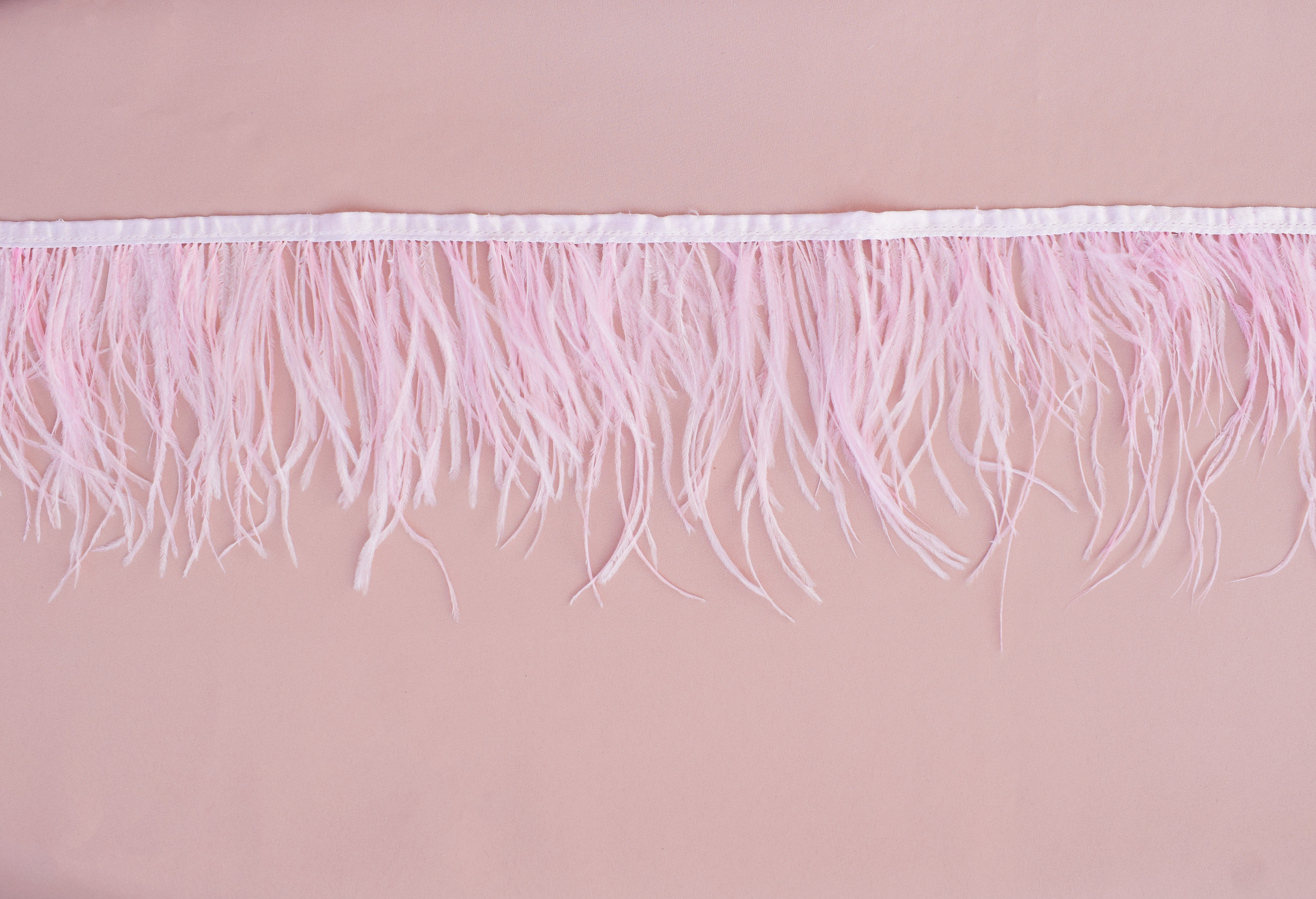 Lace &laquo;79776&raquo;