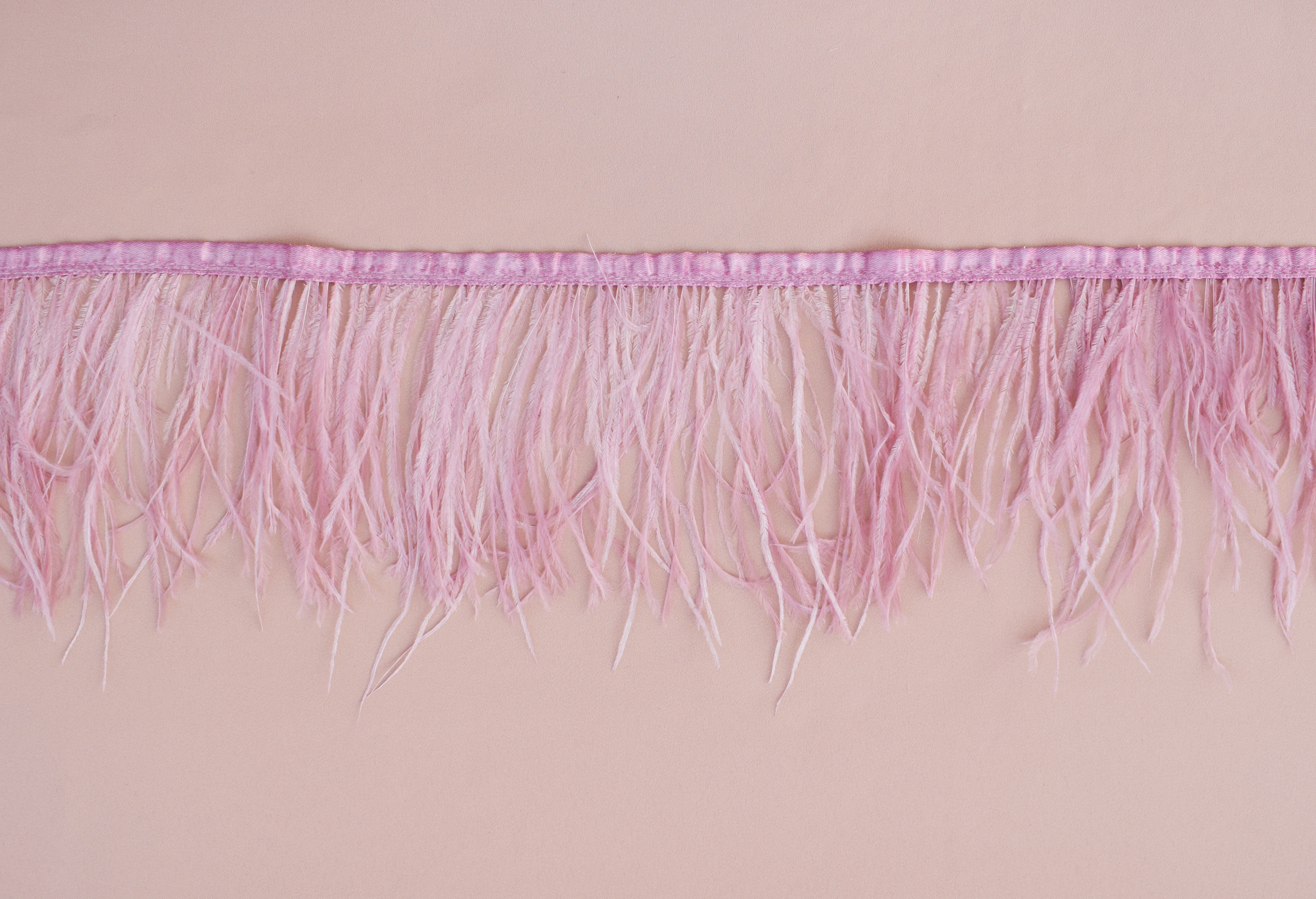 Lace &laquo;79776&raquo;